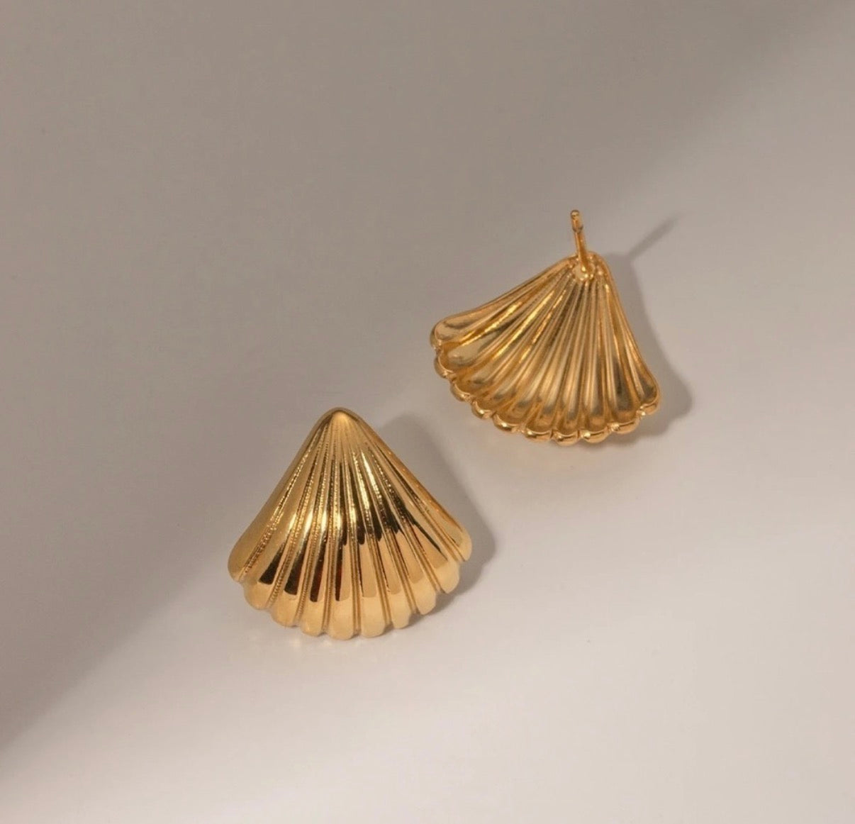 Delicate Shell Stud Earrings