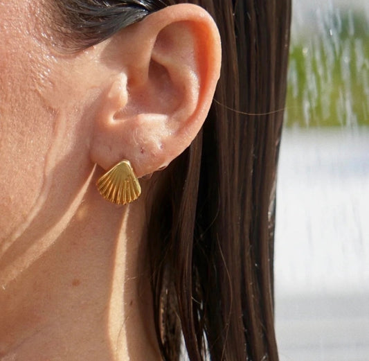 Delicate Shell Stud Earrings